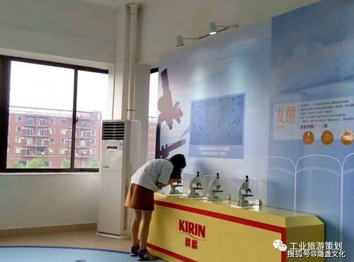 探访麒麟啤酒观光工厂 畅饮一番榨，尽享啤酒文化