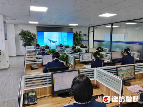 潍坊市民注意！月底将至，这项重要费用请及时缴纳