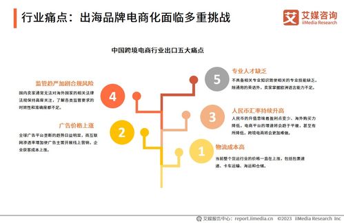 2023年中国品牌电商服务行业深度解析 信息咨询服务的价值重塑与增长路径