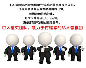淘宝代运营模式解析 飞鸟互联如何通过在线咨询提供专业信息咨询服务